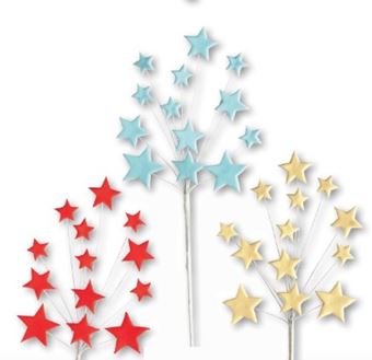 Sround-about with Star Spray Topper - Karen's Cakes